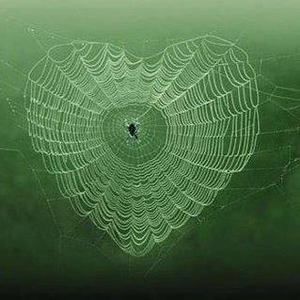 Meet your Posher, Krizta